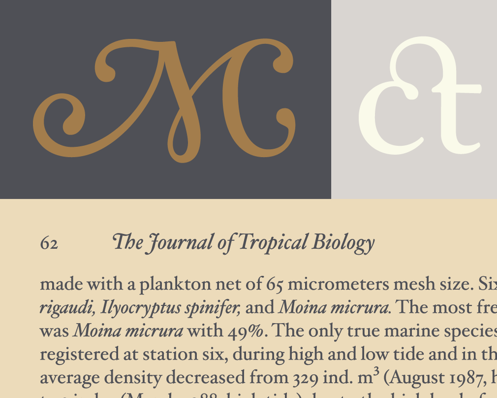 hoefler-text-fonts-fonts-by-hoefler-co